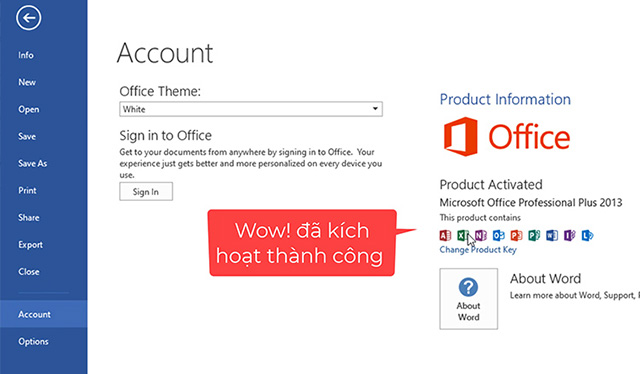 Cài đặt Office 2013