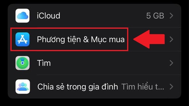 Cách cập nhật ứng dụng tự động trên iphone